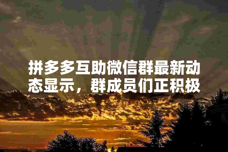 拼多多互助微信群最新动态显示，群成员们正积极分享各类优惠信息和互助砍价技巧。