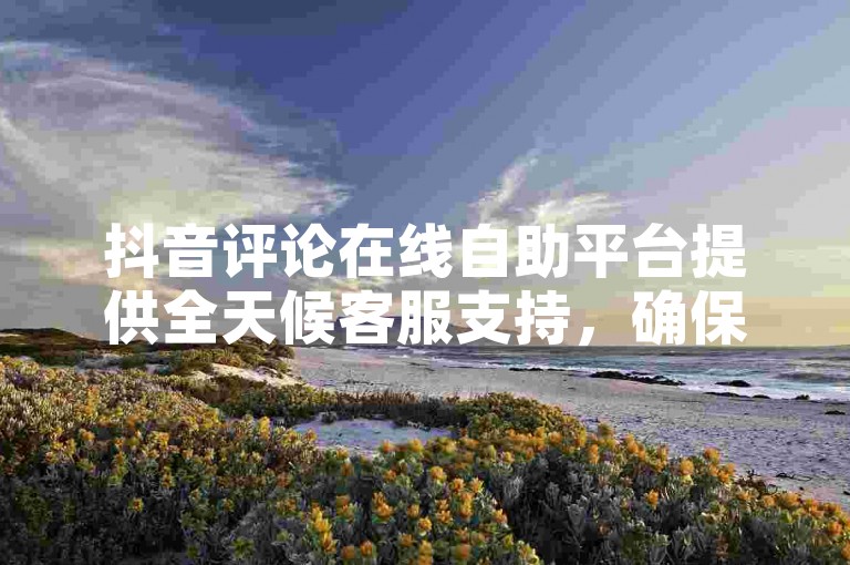抖音评论在线自助平台提供全天候客服支持，确保用户随时获得帮助。