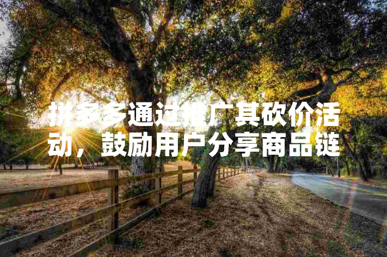 拼多多通过推广其砍价活动，鼓励用户分享商品链接以获得更低的价格。