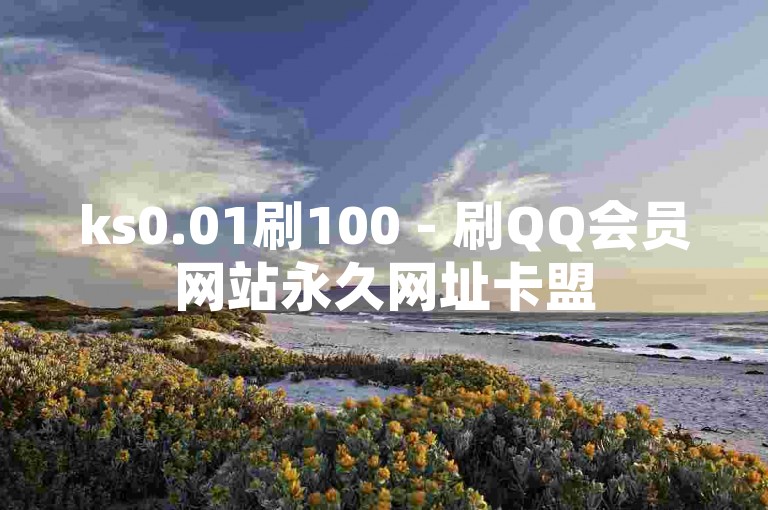 ks0.01刷100 - 刷QQ会员网站永久网址卡盟