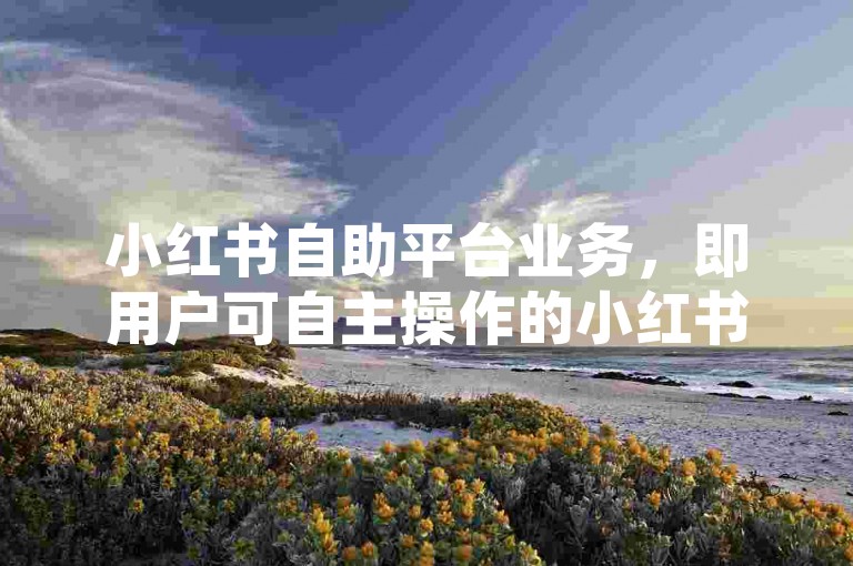小红书自助平台业务，即用户可自主操作的小红书广告推广服务。