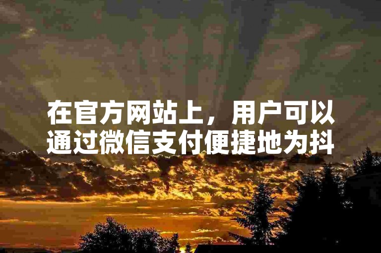 在官方网站上，用户可以通过微信支付便捷地为抖币账户充值。