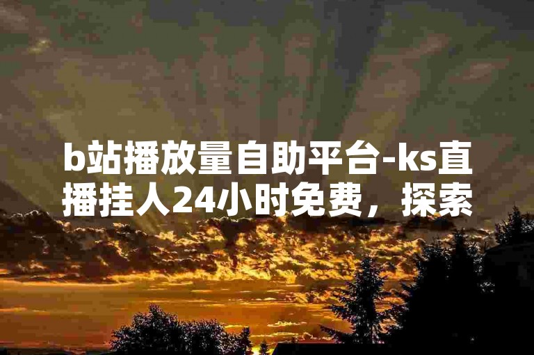 b站播放量自助平台-ks直播挂人24小时免费，探索B站播放量提升的自助服务，享受KS直播挂人的全天候免费体验。