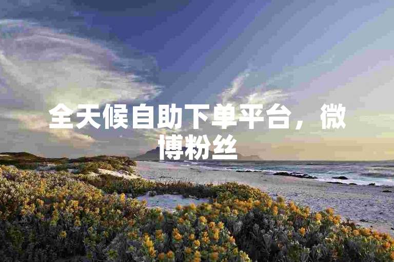 全天候自助下单平台，微博粉丝500+增长服务购买通道。