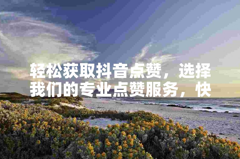 轻松获取抖音点赞，选择我们的专业点赞服务，快速提升您的视频热度。