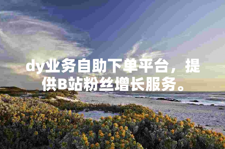 dy业务自助下单平台，提供B站粉丝增长服务。