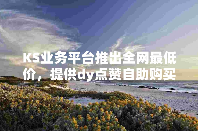 KS业务平台推出全网最低价，提供dy点赞自助购买服务，支持二十四小时不间断自助下单。