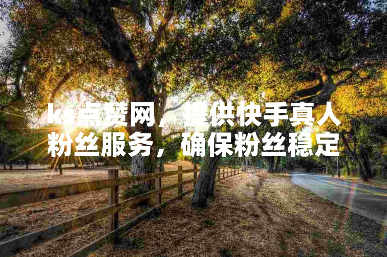 ks点赞网，提供快手真人粉丝服务，确保粉丝稳定不掉线，同时推出快手0.5元1000个赞的优惠活动，以及dy业务的低价自助下单转发服务。