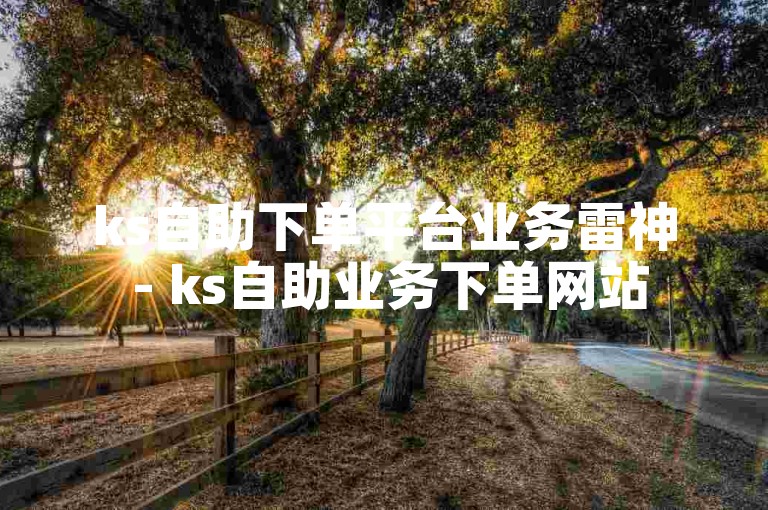 ks自助下单平台业务雷神 - ks自助业务下单网站