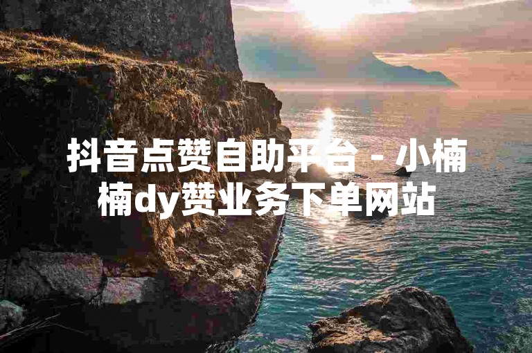 抖音点赞自助平台 - 小楠楠dy赞业务下单网站