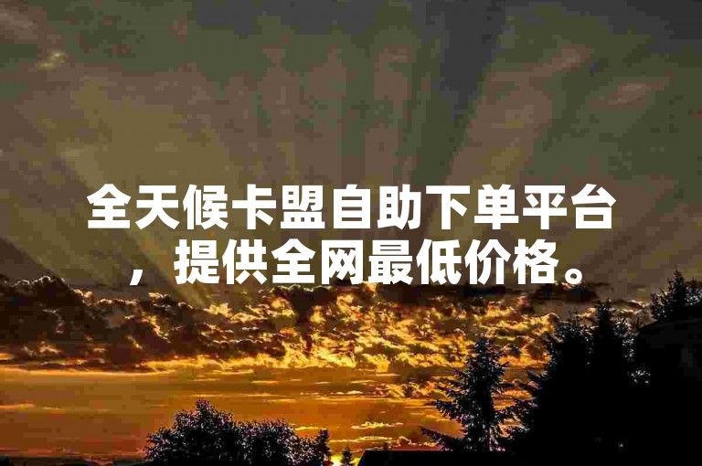 全天候卡盟自助下单平台，提供全网最低价格。