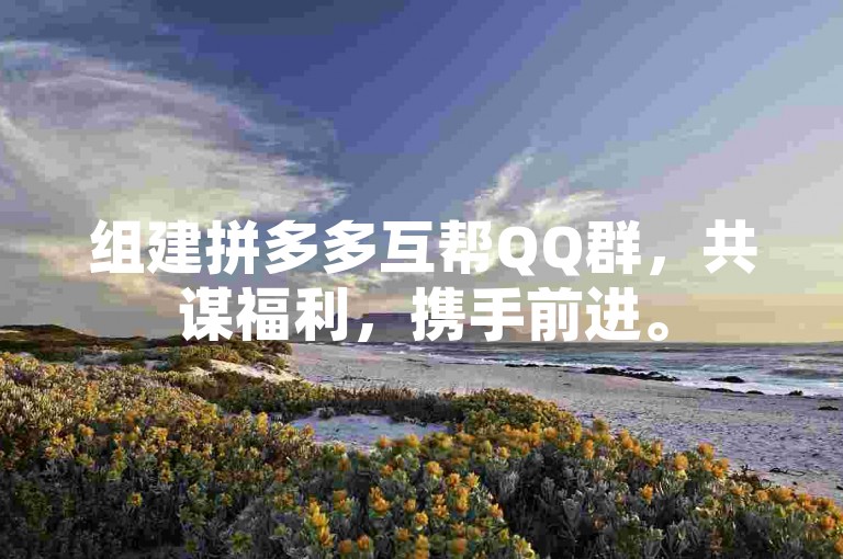 组建拼多多互帮QQ群，共谋福利，携手前进。