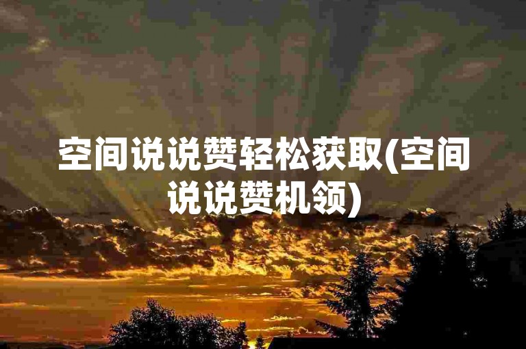空间说说赞轻松获取(空间说说赞机领)
