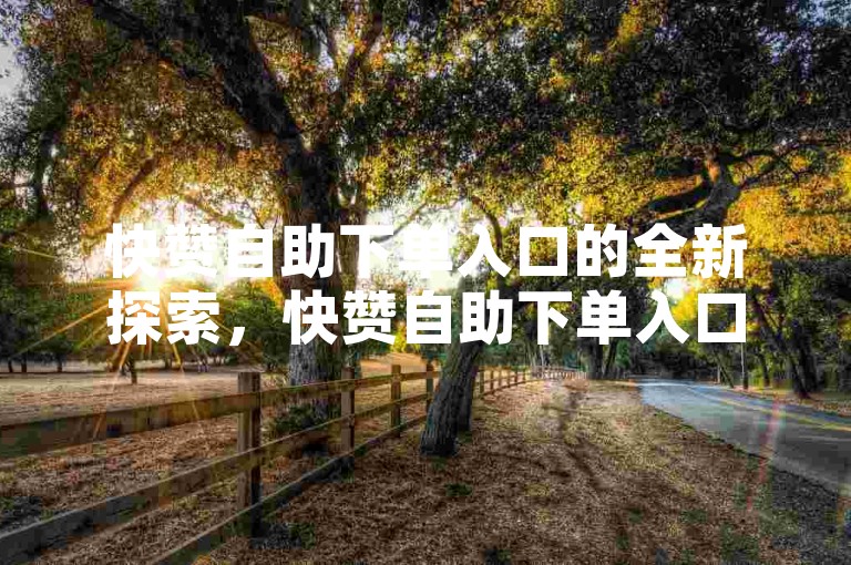 快赞自助下单入口的全新探索，快赞自助下单入口，高效流畅的预订流程！2024不可错过