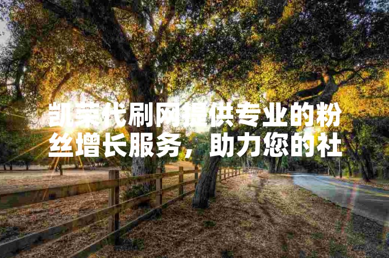 凯荣代刷网提供专业的粉丝增长服务，助力您的社交媒体账号迅速积累人气。