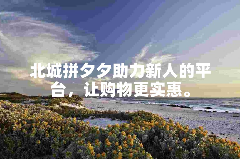 北城拼夕夕助力新人的平台，让购物更实惠。