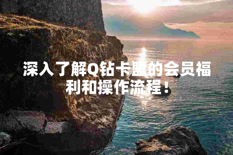 深入了解Q钻卡盟的会员福利和操作流程！