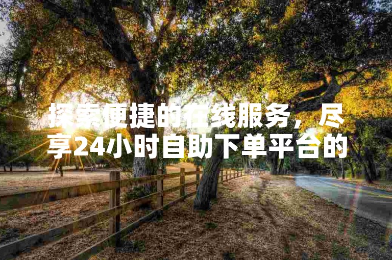 探索便捷的在线服务，尽享24小时自助下单平台的全新体验。