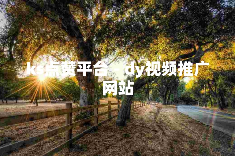 ks点赞平台 - dy视频推广网站