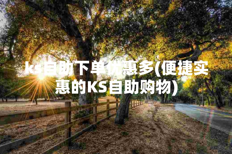 ks自助下单优惠多(便捷实惠的KS自助购物)