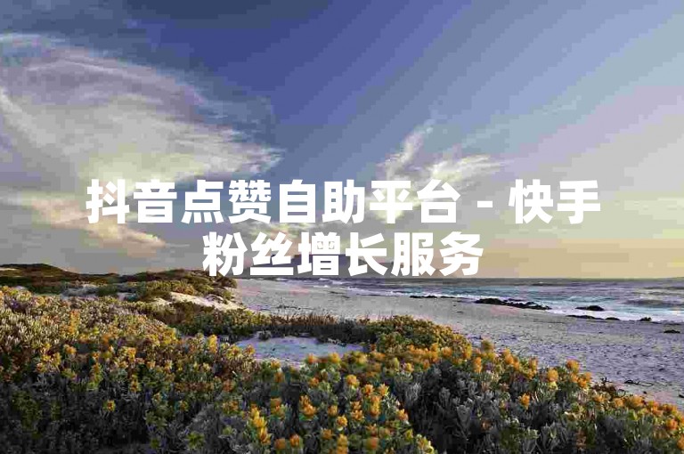 抖音点赞自助平台 - 快手粉丝增长服务