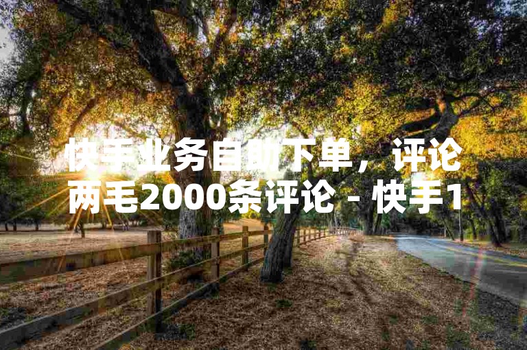 快手业务自助下单，评论两毛2000条评论 - 快手1000粉丝多少钱 - 行业最优价格服务平台。