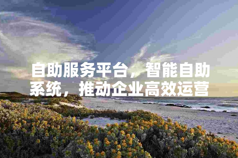 自助服务平台，智能自助系统，推动企业高效运营与服务优化。