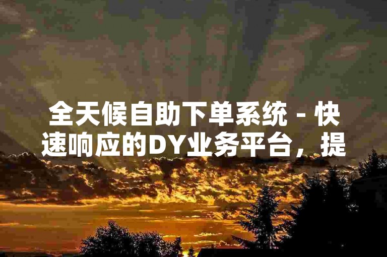 全天候自助下单系统 - 快速响应的DY业务平台，提供24小时不间断服务。