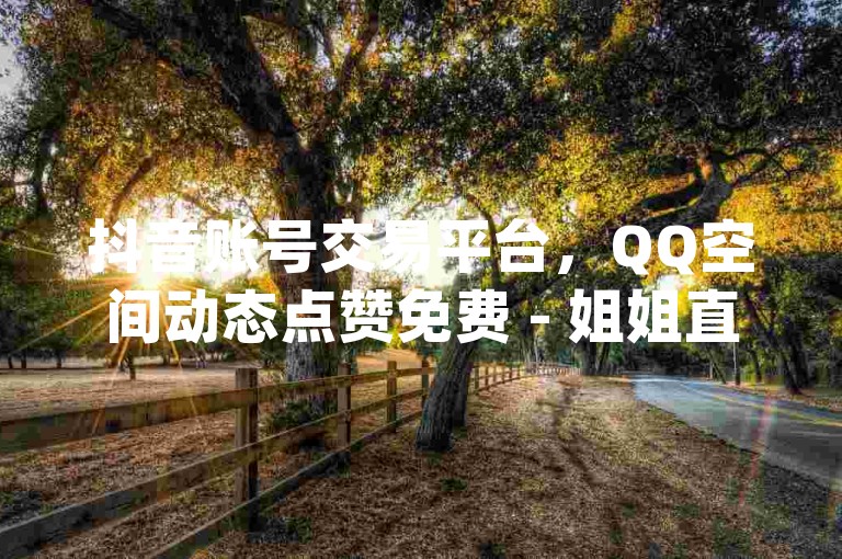 抖音账号交易平台，QQ空间动态点赞免费 - 姐姐直播3.6.1版本 - www.jxsfgz.com