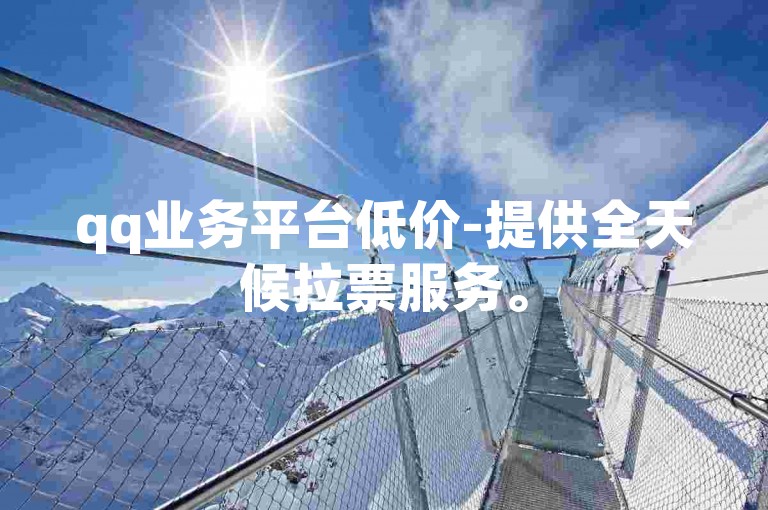 qq业务平台低价-提供全天候拉票服务。