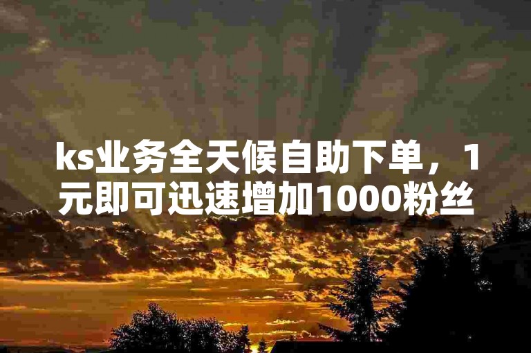 ks业务全天候自助下单，1元即可迅速增加1000粉丝。