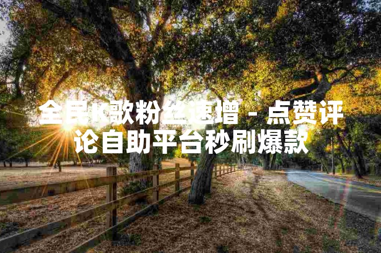 全民K歌粉丝速增 - 点赞评论自助平台秒刷爆款