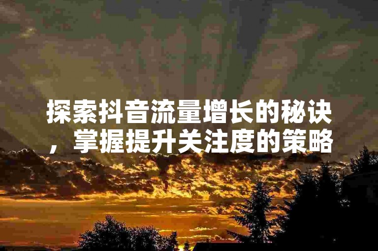 探索抖音流量增长的秘诀，掌握提升关注度的策略。