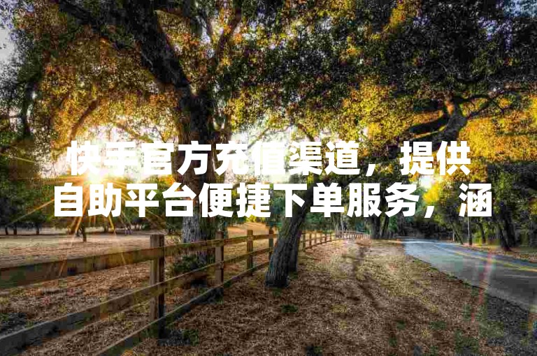 快手官方充值渠道，提供自助平台便捷下单服务，涵盖影视会员及粉丝增长服务。
