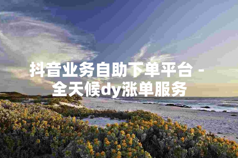抖音业务自助下单平台 - 全天候dy涨单服务