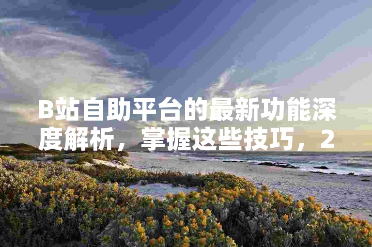 B站自助平台的最新功能深度解析，掌握这些技巧，2024年让你的业务腾飞！