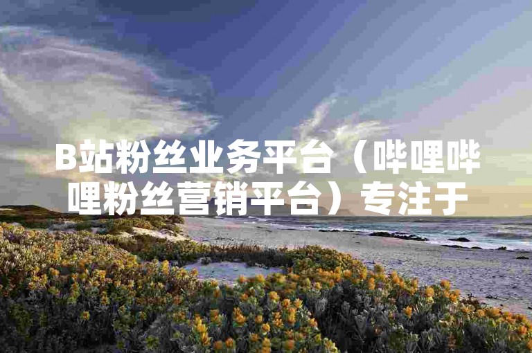 B站粉丝业务平台（哔哩哔哩粉丝营销平台）专注于为内容创作者提供高效的粉丝增长解决方案，助力他们在竞争激烈的社交媒体领域中脱颖而出。