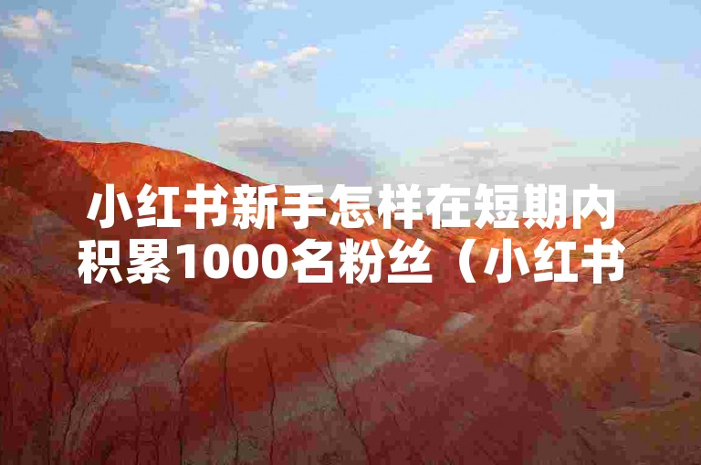 小红书新手怎样在短期内积累1000名粉丝（小红书新手如何迅速获得1000个关注者）。