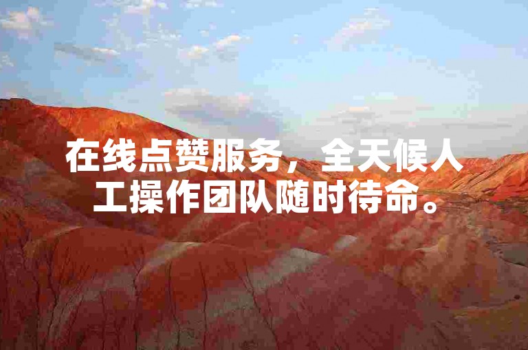 在线点赞服务，全天候人工操作团队随时待命。