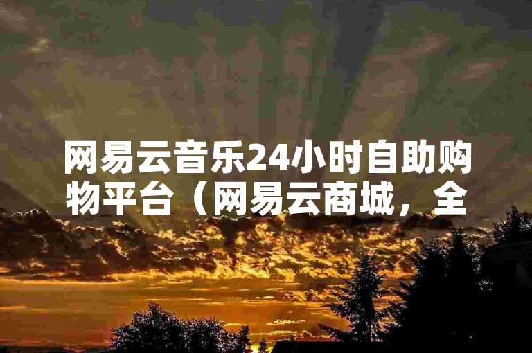 网易云音乐24小时自助购物平台（网易云商城，全天候自助服务，便捷选购音乐精品）