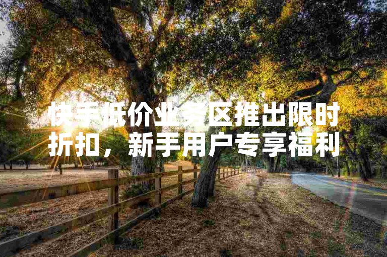 快手低价业务区推出限时折扣，新手用户专享福利！