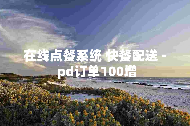 在线点餐系统 快餐配送 - pd订单100增