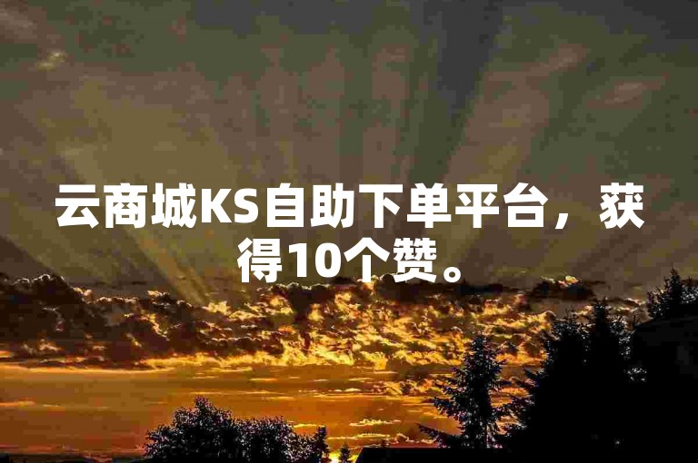 云商城KS自助下单平台，获得10个赞。