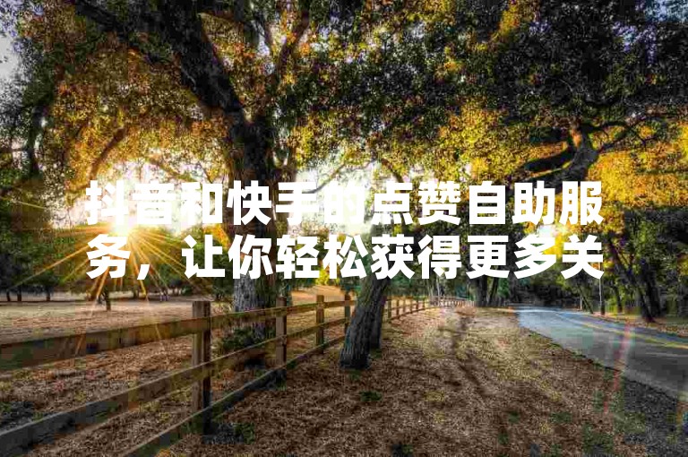 抖音和快手的点赞自助服务，让你轻松获得更多关注。