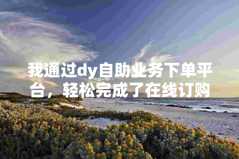 我通过dy自助业务下单平台，轻松完成了在线订购系统的使用。
