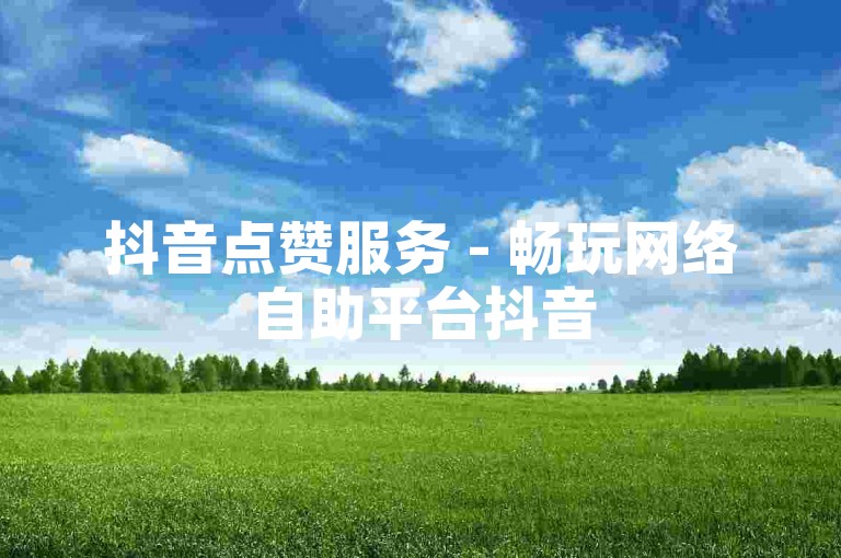 抖音点赞服务 - 畅玩网络自助平台抖音