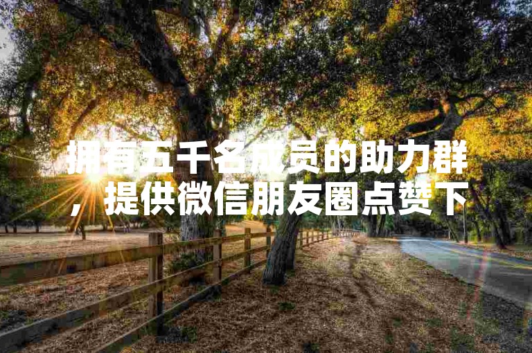 拥有五千名成员的助力群，提供微信朋友圈点赞下单的自助服务平台。