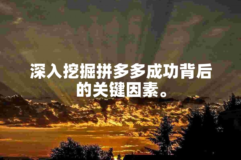 深入挖掘拼多多成功背后的关键因素。