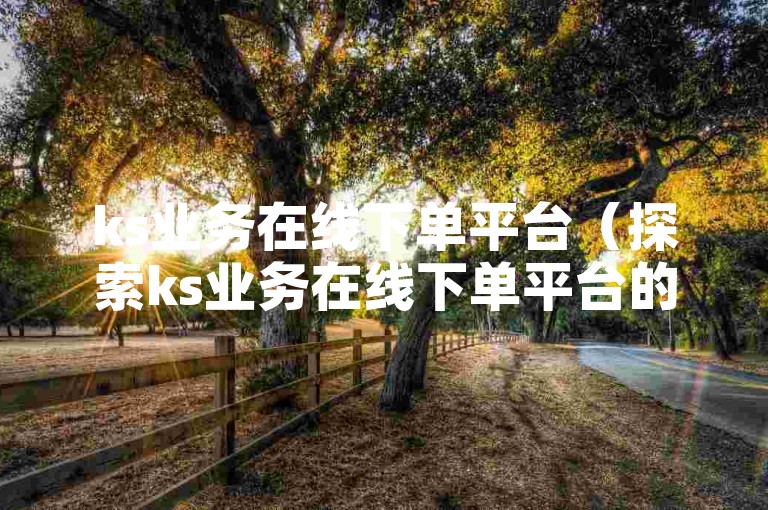 ks业务在线下单平台（探索ks业务在线下单平台的便捷功能）