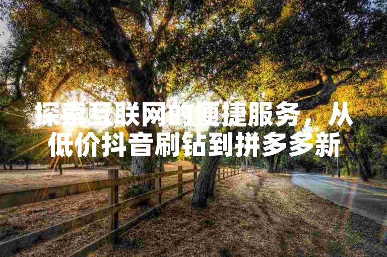 探索互联网的便捷服务，从低价抖音刷钻到拼多多新人助力，再到官方认证的抖音钻石充值，一应俱全。